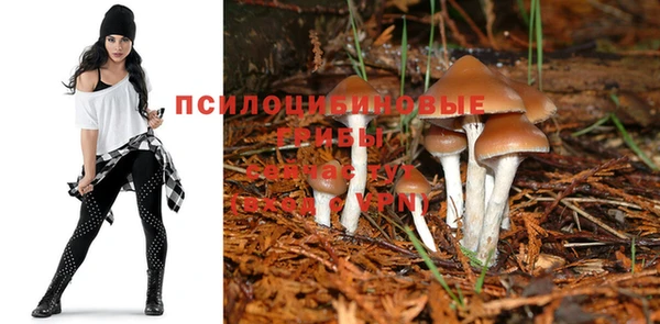 мескалин Алексеевка