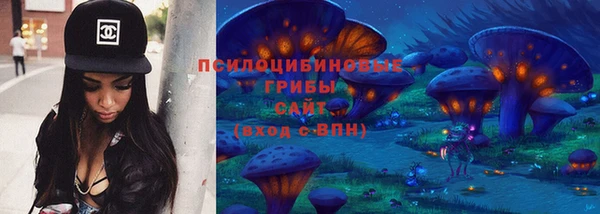 соль ск Алзамай